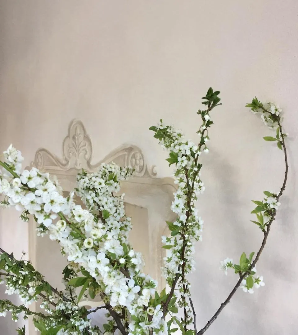 B&B Villa Costanza ブレーヴィオ 2*,  イタリア